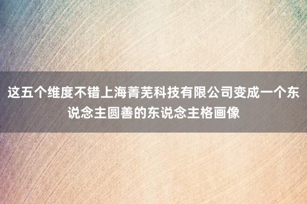 这五个维度不错上海菁芜科技有限公司变成一个东说念主圆善的东说念主格画像