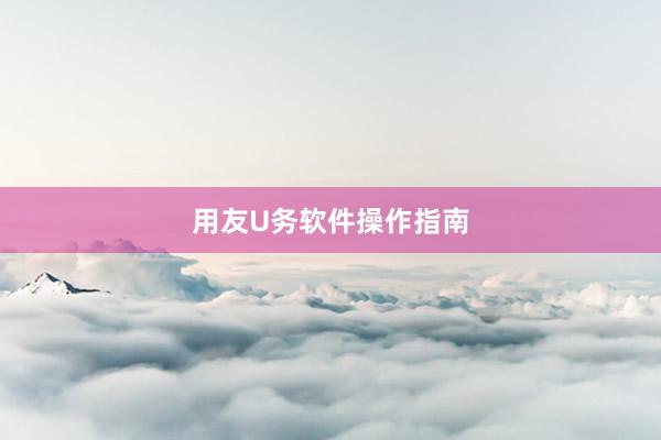 用友U务软件操作指南
